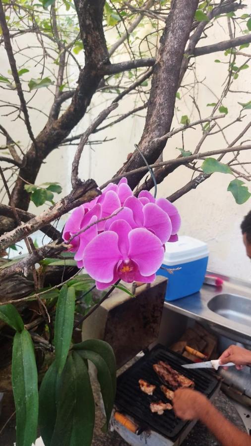 Hostel Salvador Orquideas מראה חיצוני תמונה